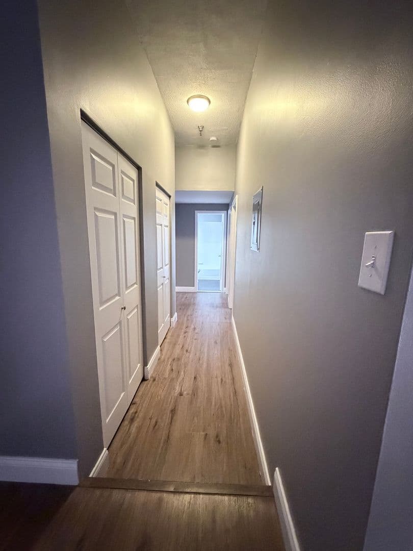 Springfield Apartment: 122 Chestnut Street