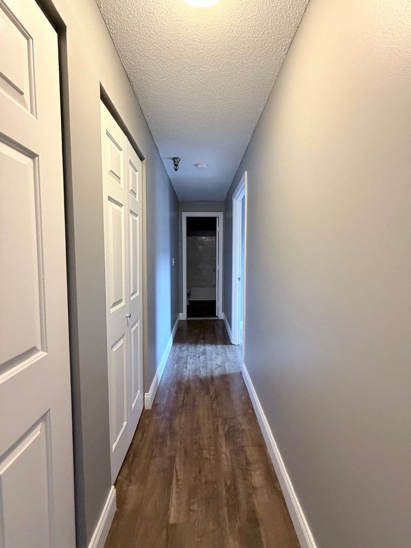 Springfield Apartment: 122 Chestnut Street