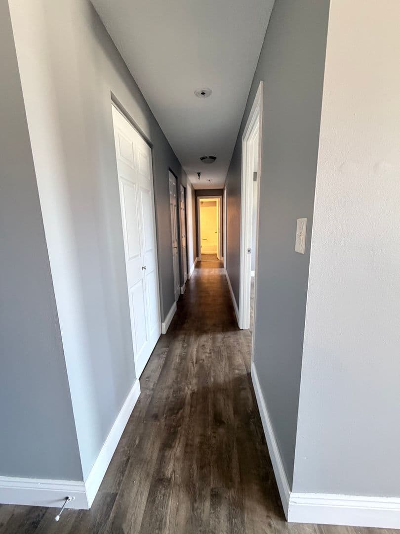 Springfield Apartment: 122 Chestnut Street