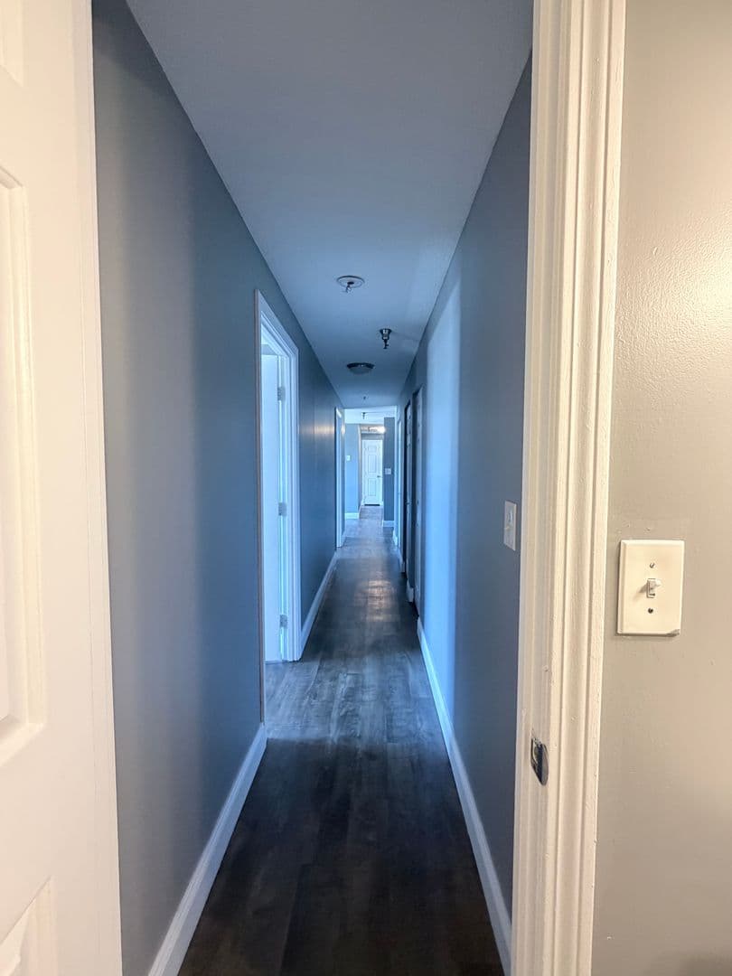 Springfield Apartment: 122 Chestnut Street