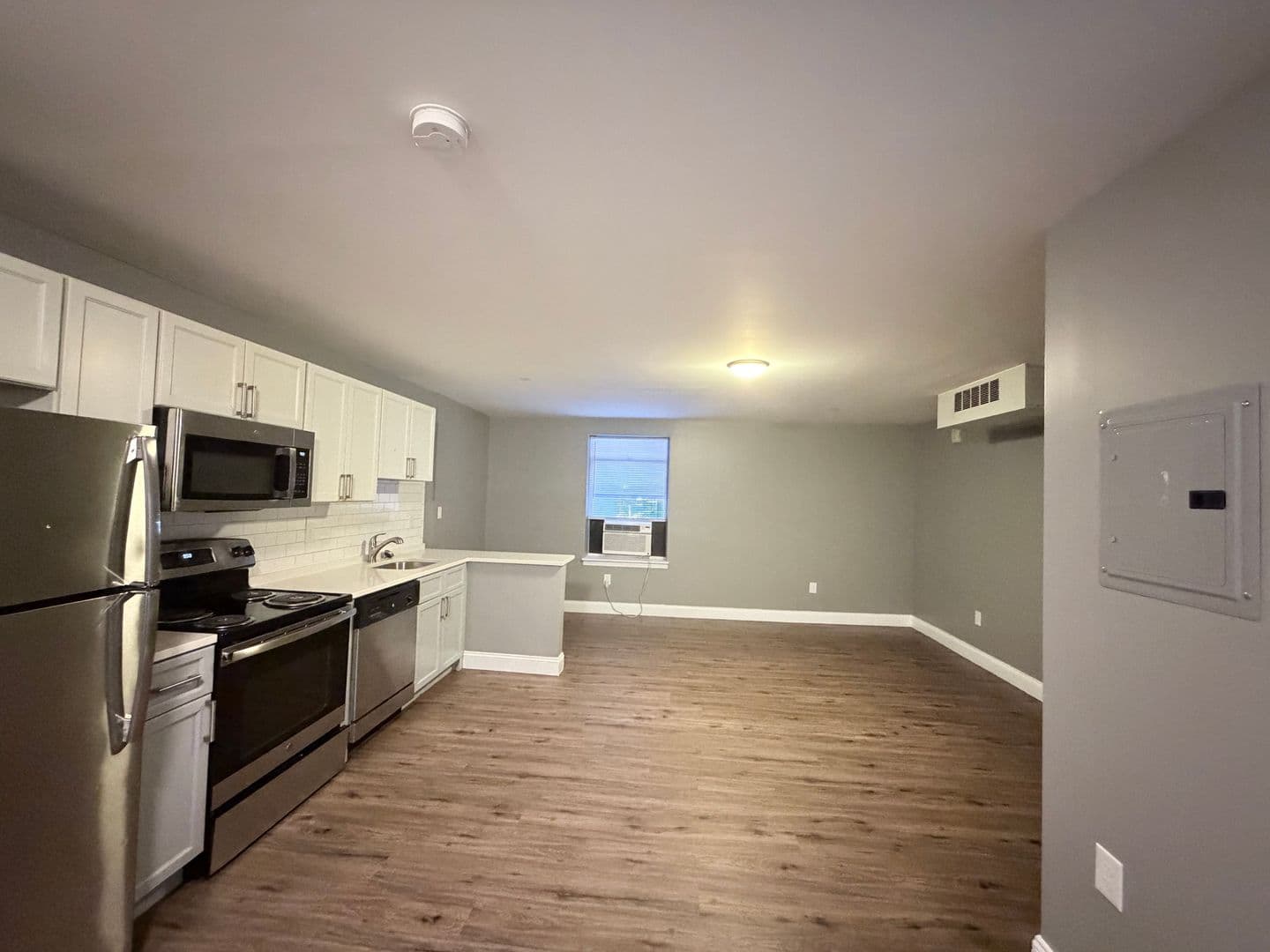 Springfield Apartment: 122 Chestnut Street