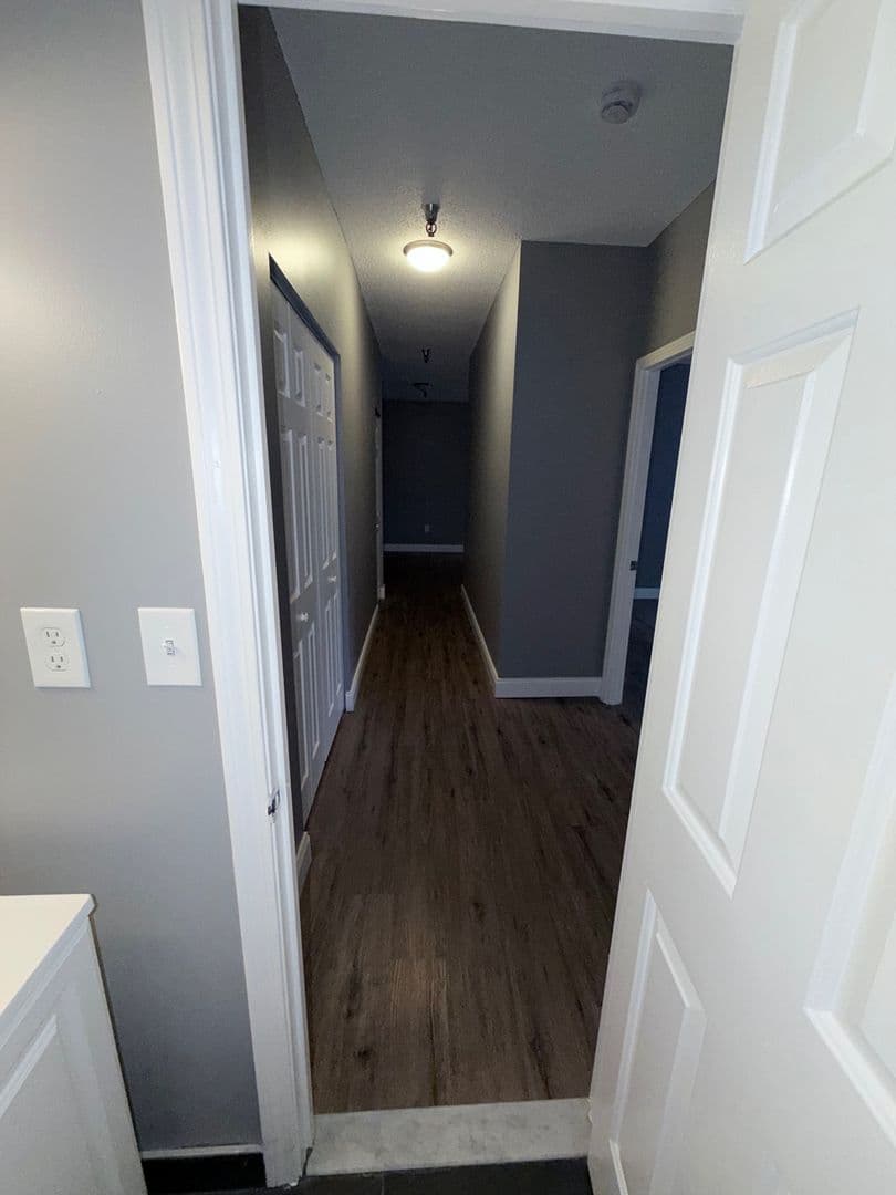 Springfield Apartment: 122 Chestnut Street