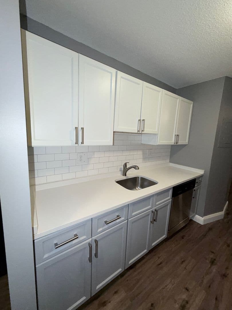 Springfield Apartment: 122 Chestnut Street