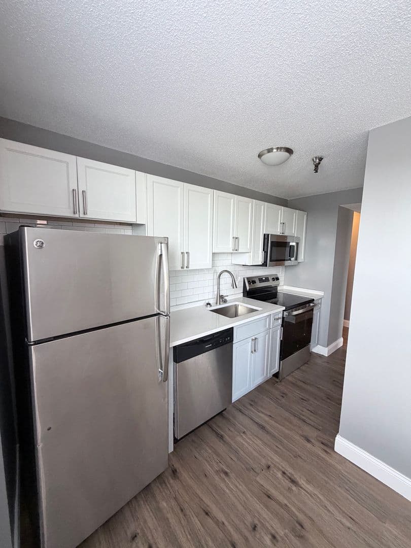 Springfield Apartment: 122 Chestnut Street