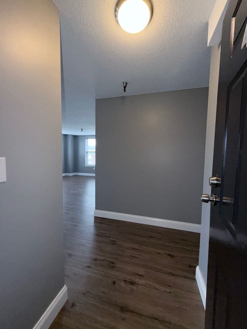 Springfield Apartment: 122 Chestnut Street