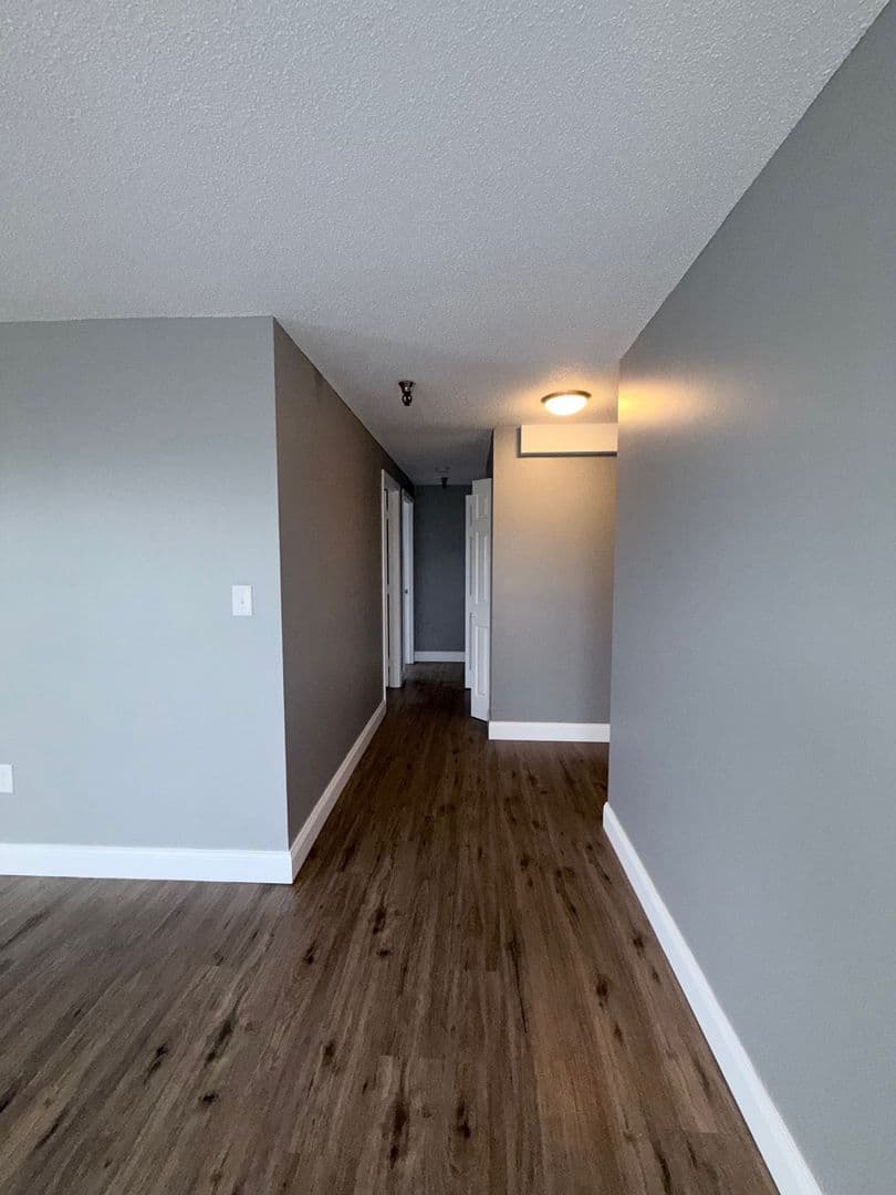 Springfield Apartment: 122 Chestnut Street