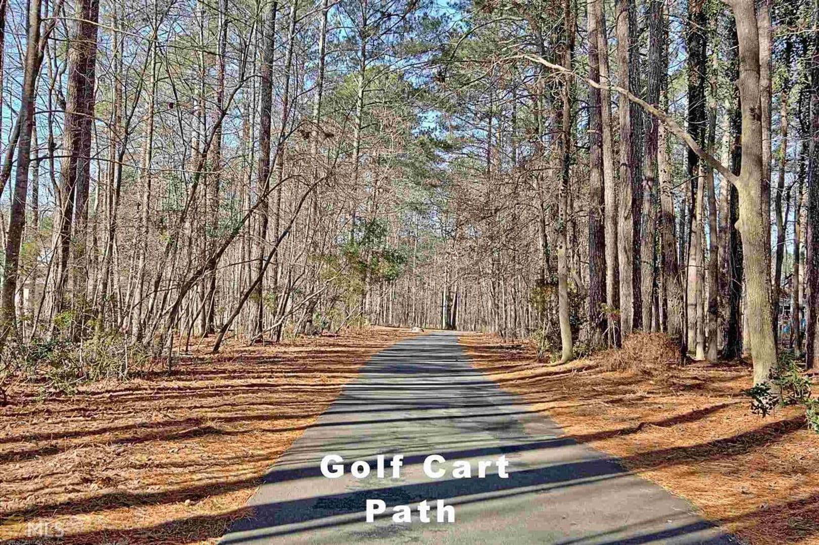 Peachtree City House: 119 Terrace Tay