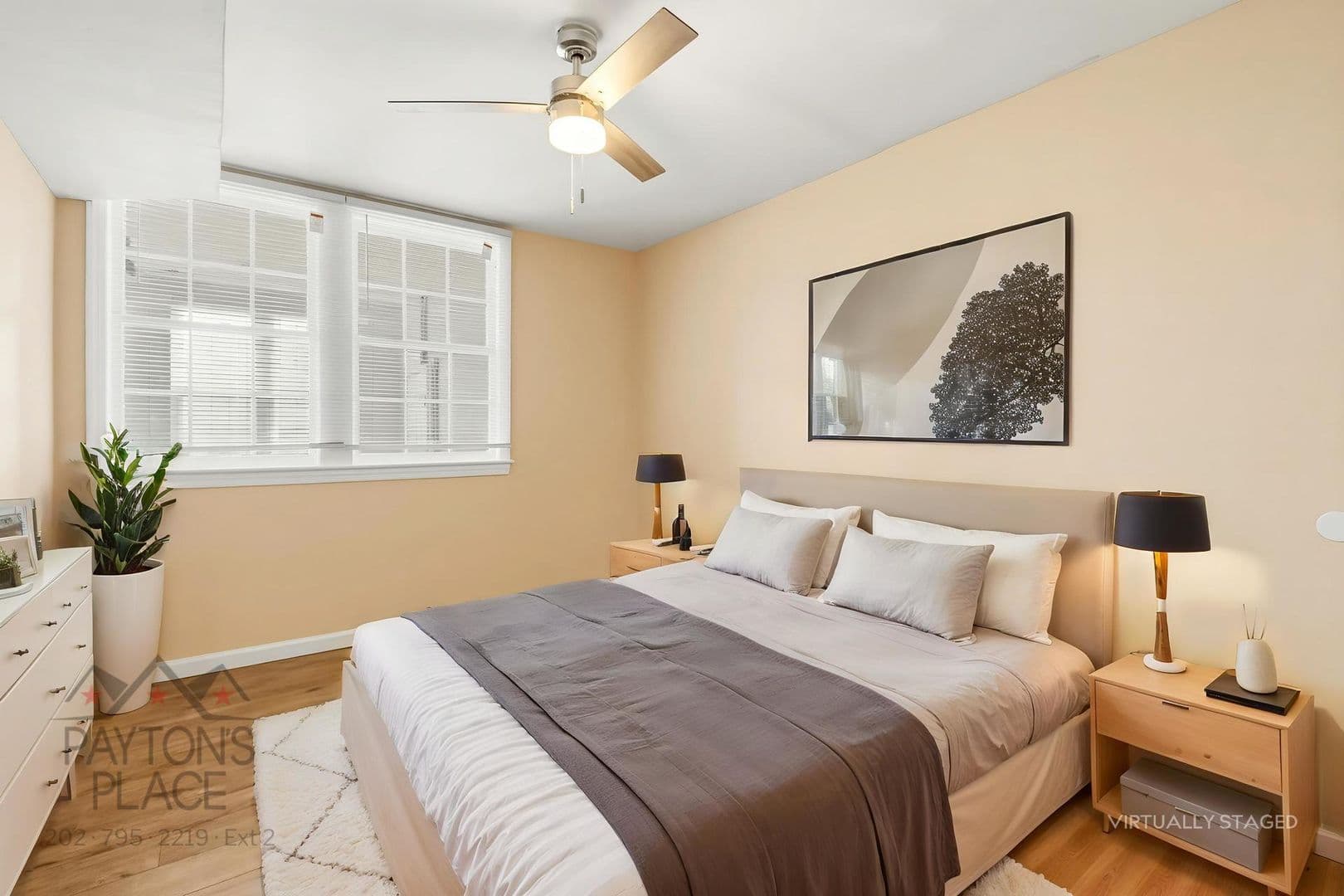 Washington Apartment: 1813 Maryland Ave NE