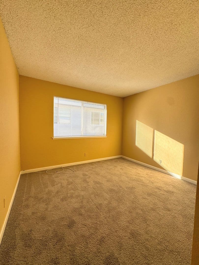 Auburn House: 3703 Park Drive