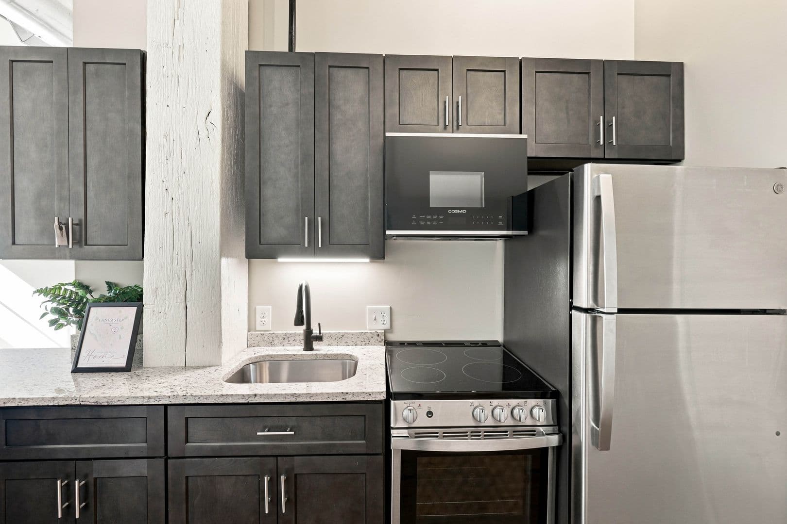 Lancaster Apartment: 227 N Prince St