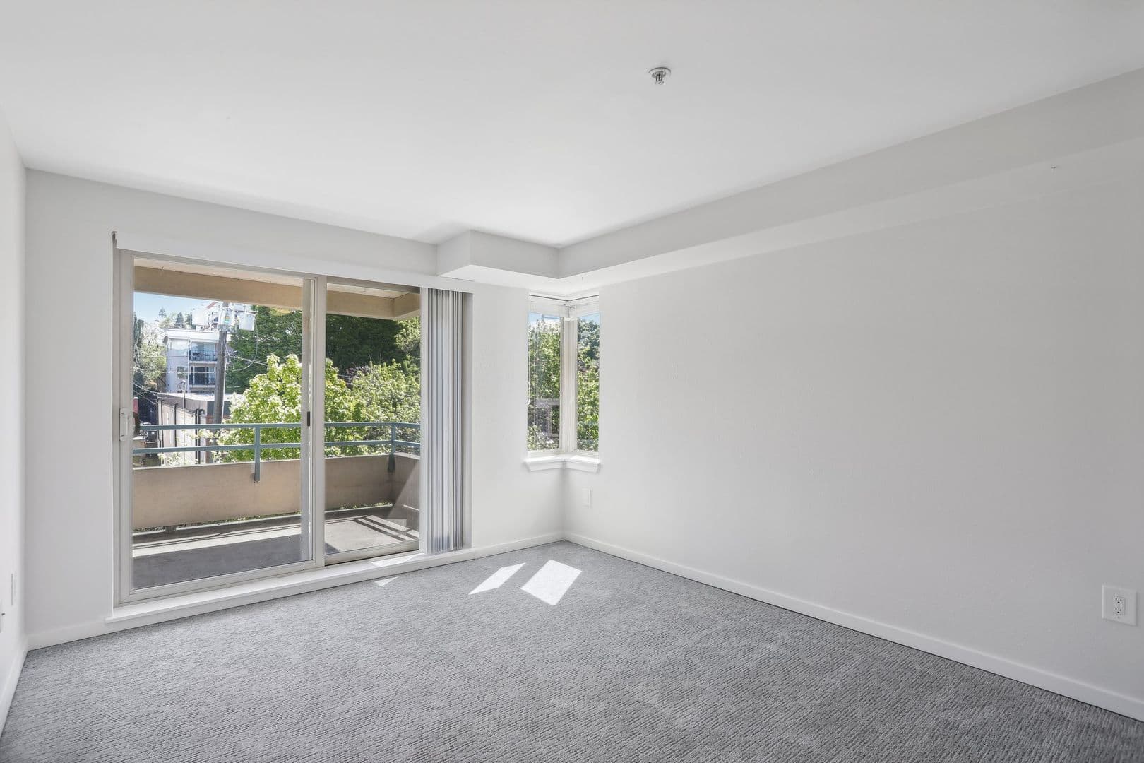 Seattle Apartment: 311 Bellevue Ave E