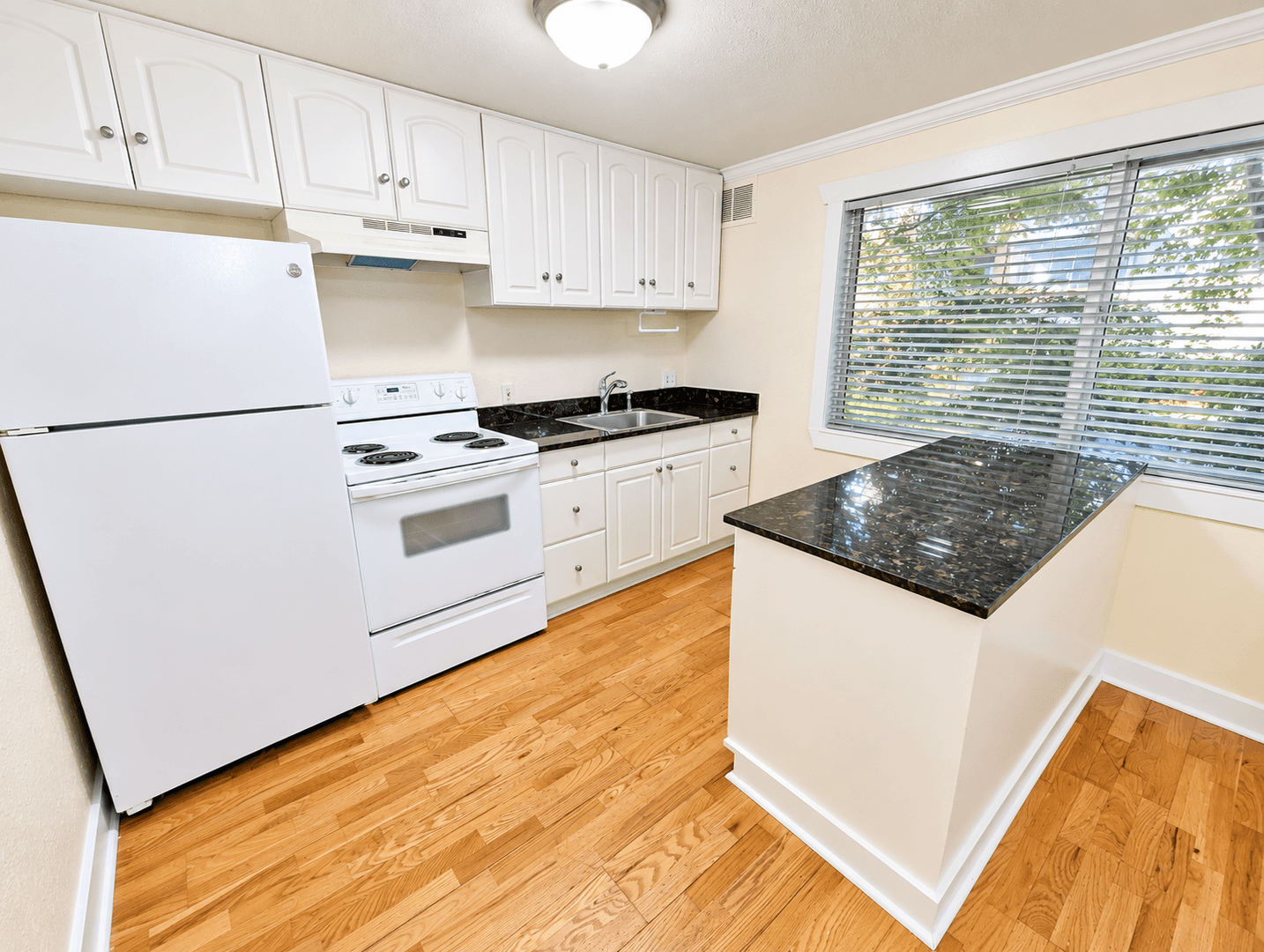 Seattle Apartment: 535 13th Ave E