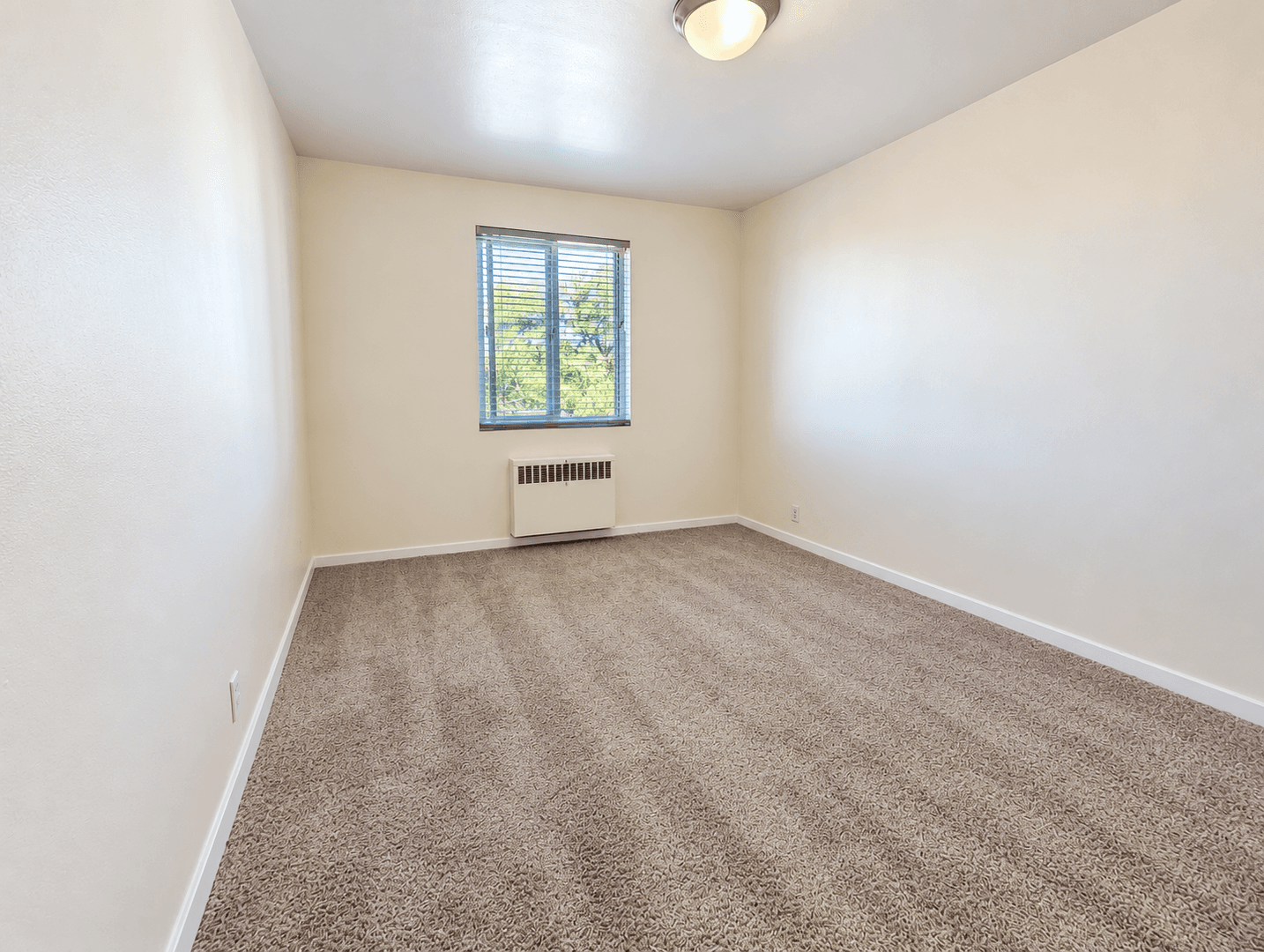 Seattle Apartment: 535 13th Ave E