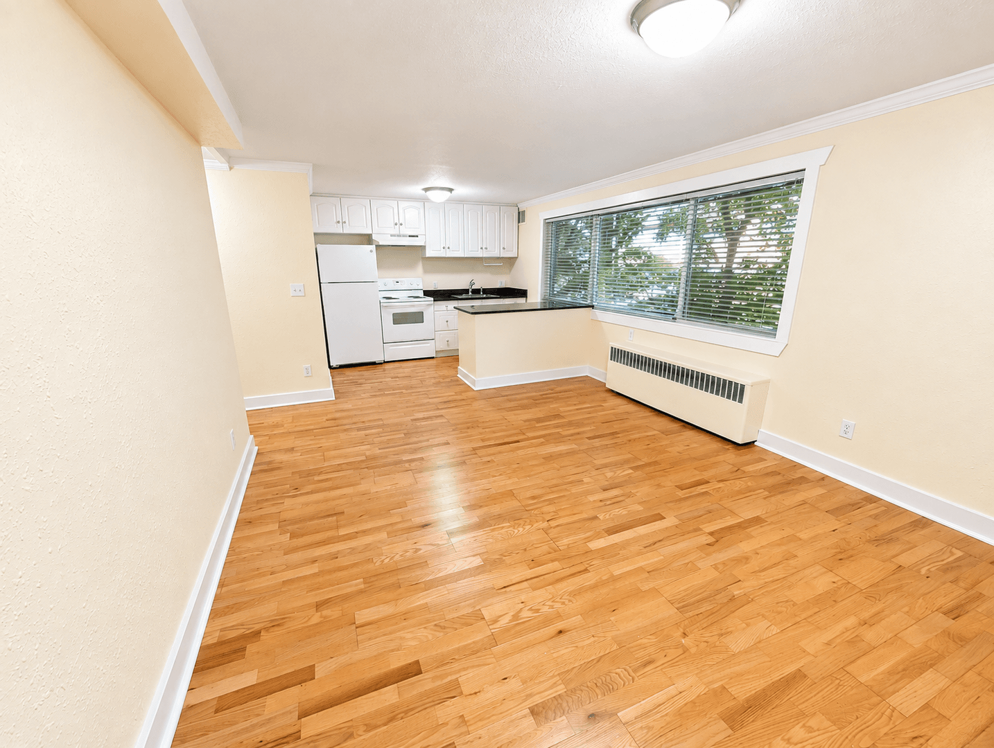 Seattle Apartment: 535 13th Ave E