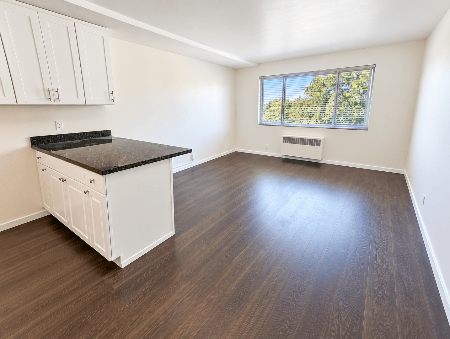Seattle Apartment: 535 13th Ave E