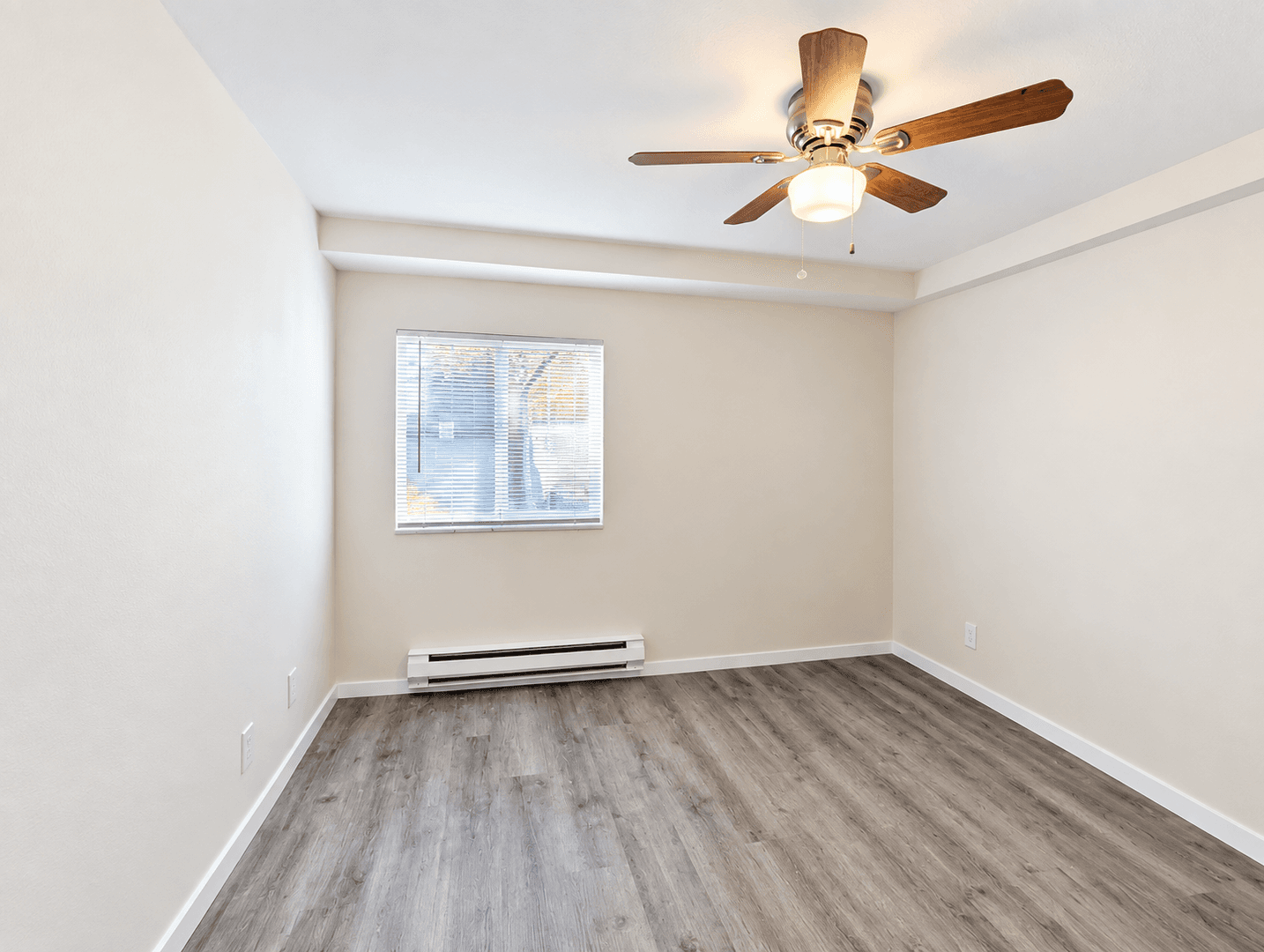 Seattle Apartment: 433 Belmont Ave E