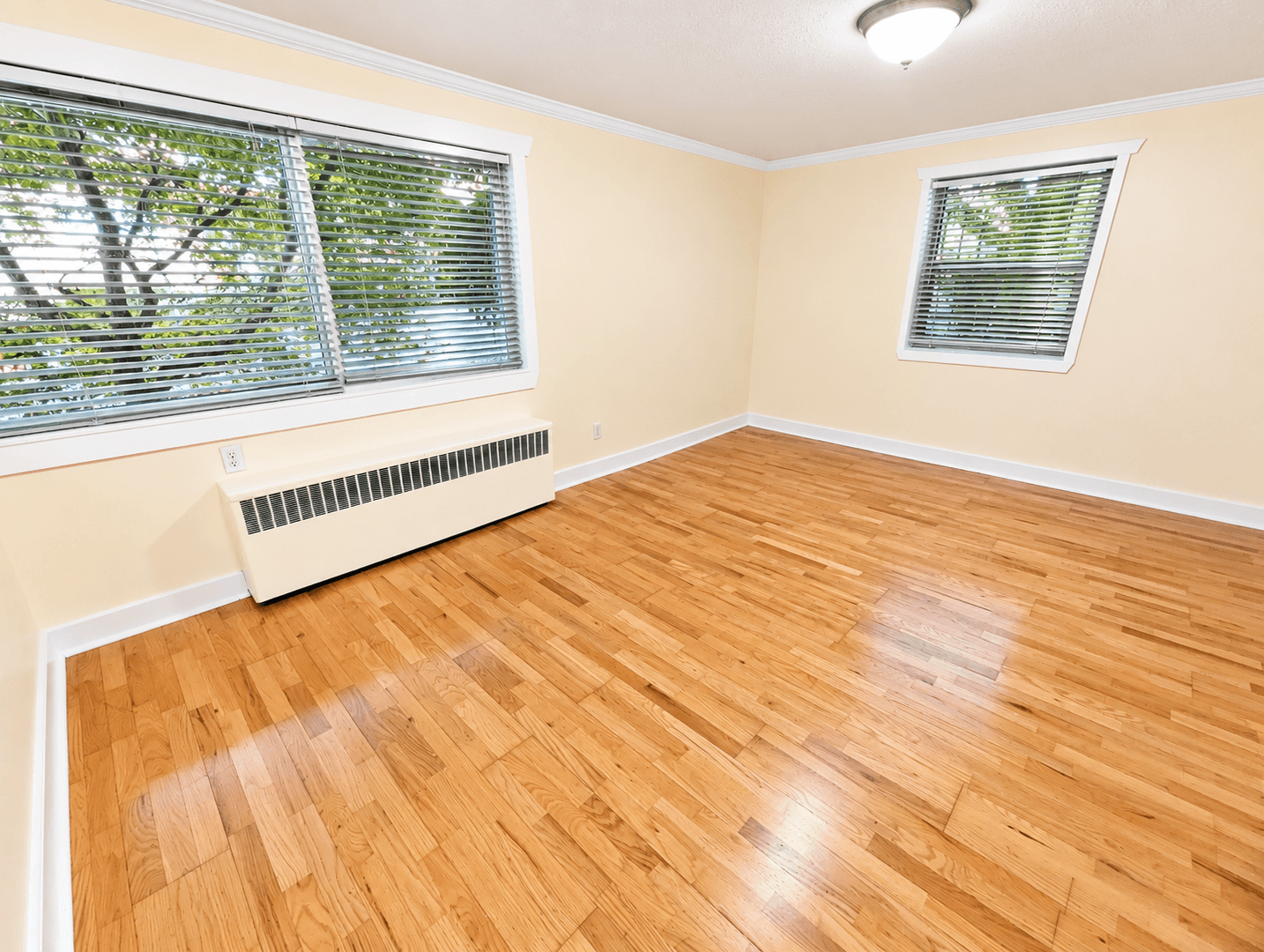 Seattle Apartment: 535 13th Ave E