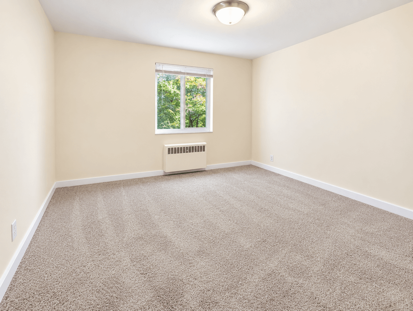 Seattle Apartment: 535 13th Ave E