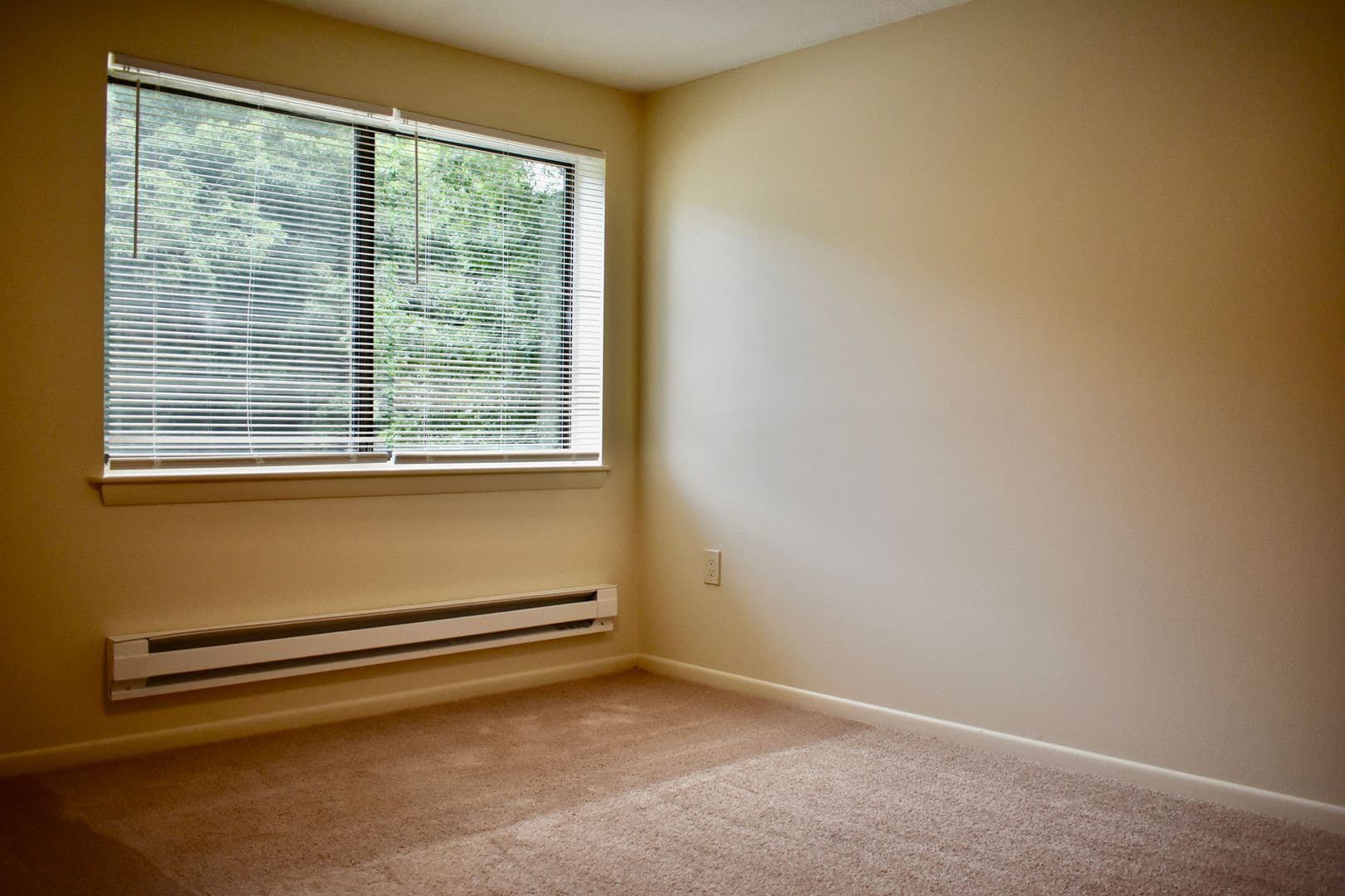 Merrimack Apartment: 10 Center Street