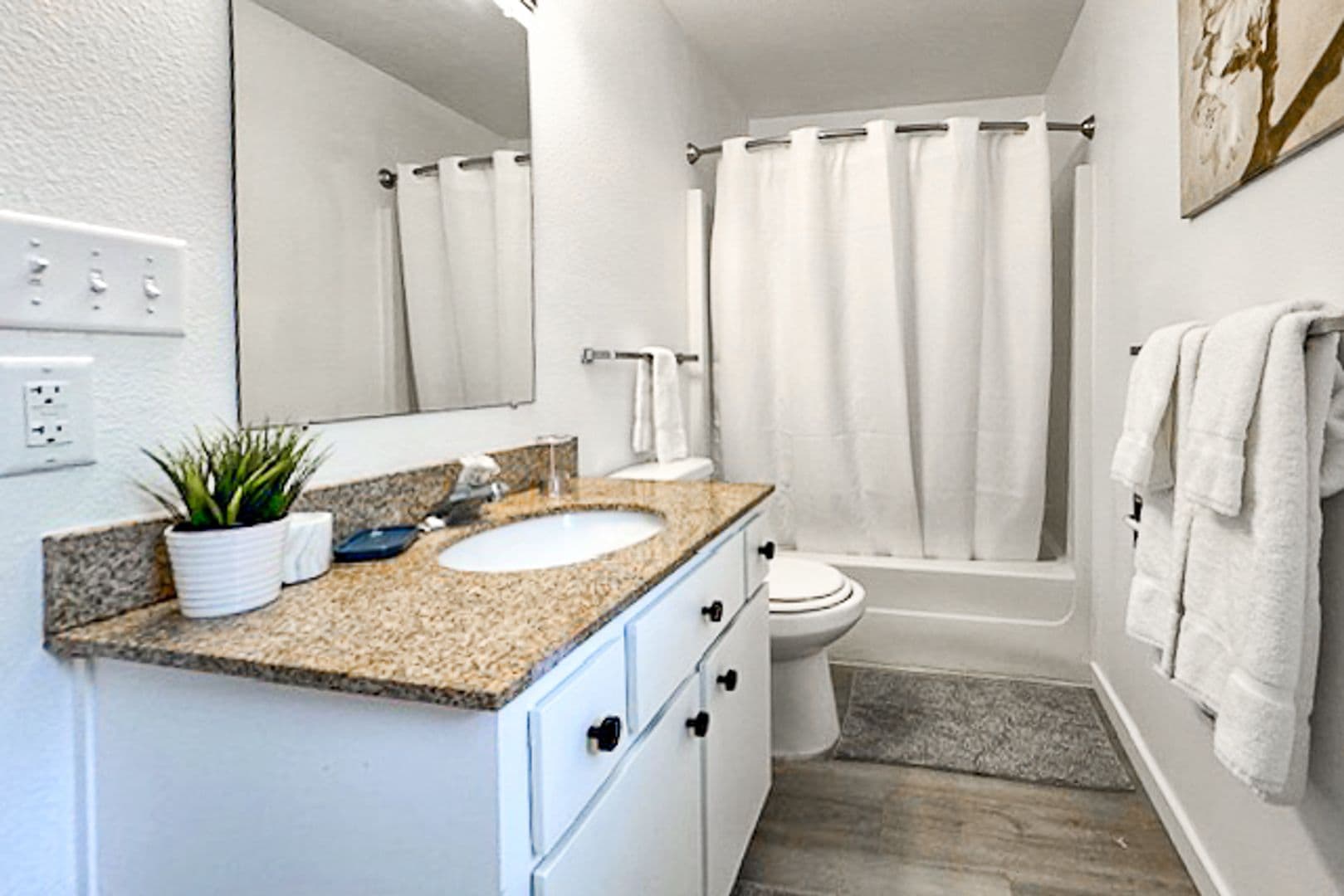 Pullman Apartment: 1016 SE Latah St