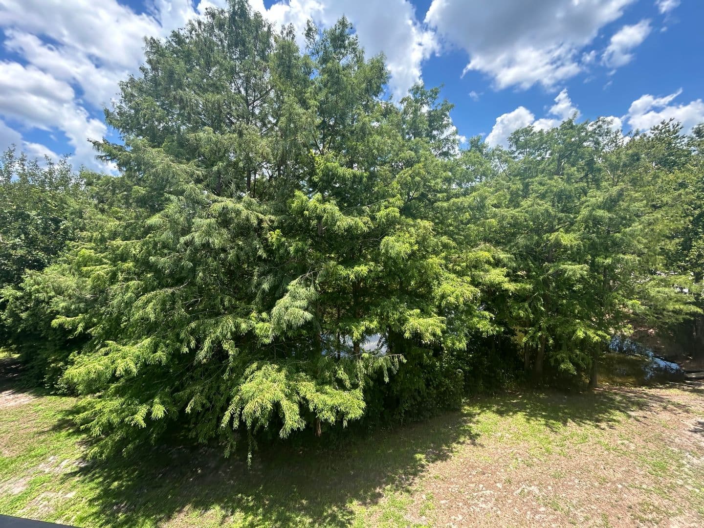 Gainesville Apartment: 2360 SW Archer Rd
