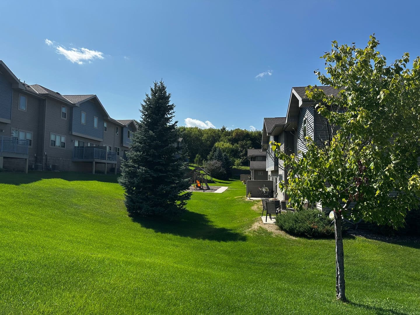 Buffalo Apartment: The Willows