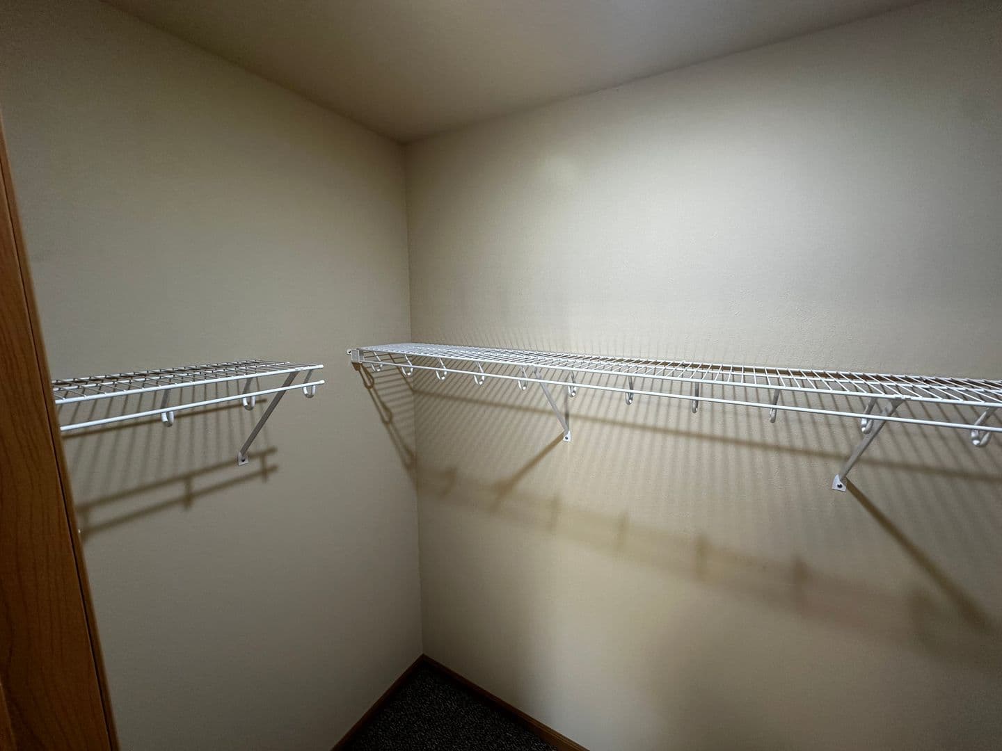 Buffalo Apartment: The Willows