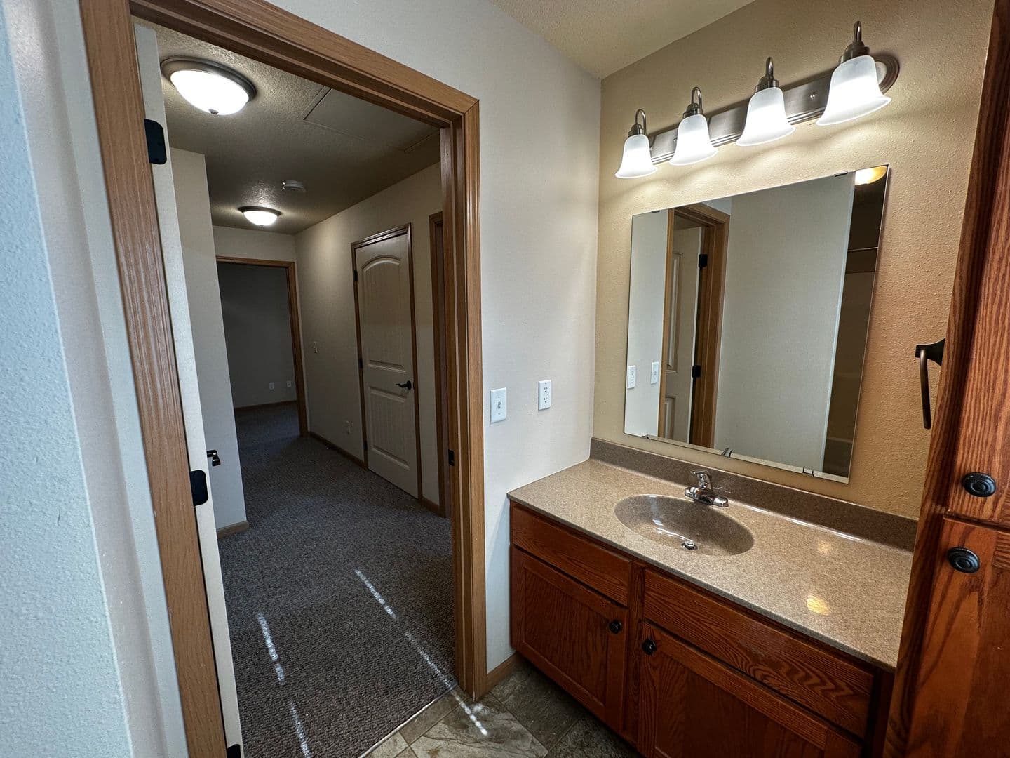 Buffalo Apartment: The Willows
