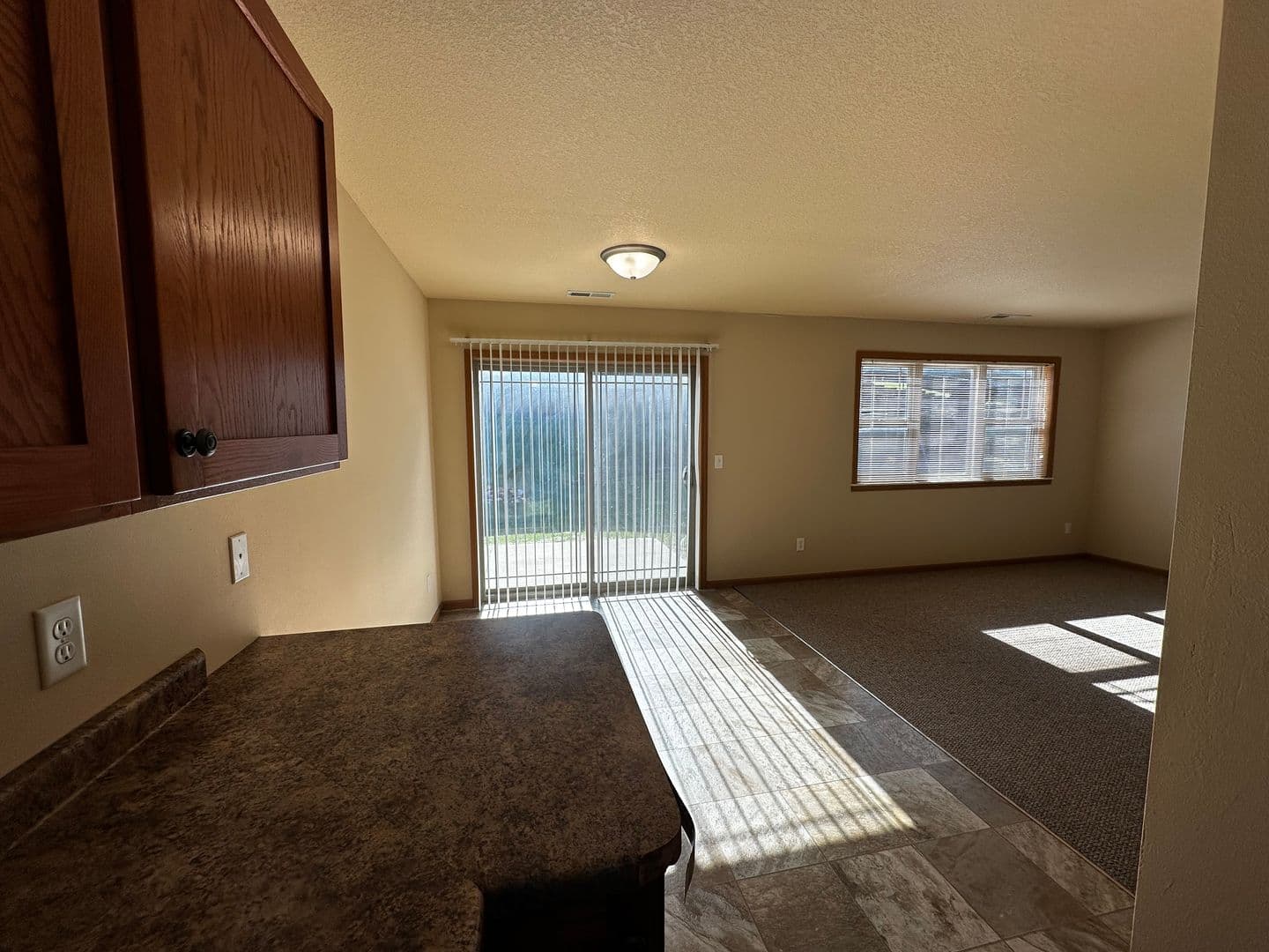 Buffalo Apartment: The Willows