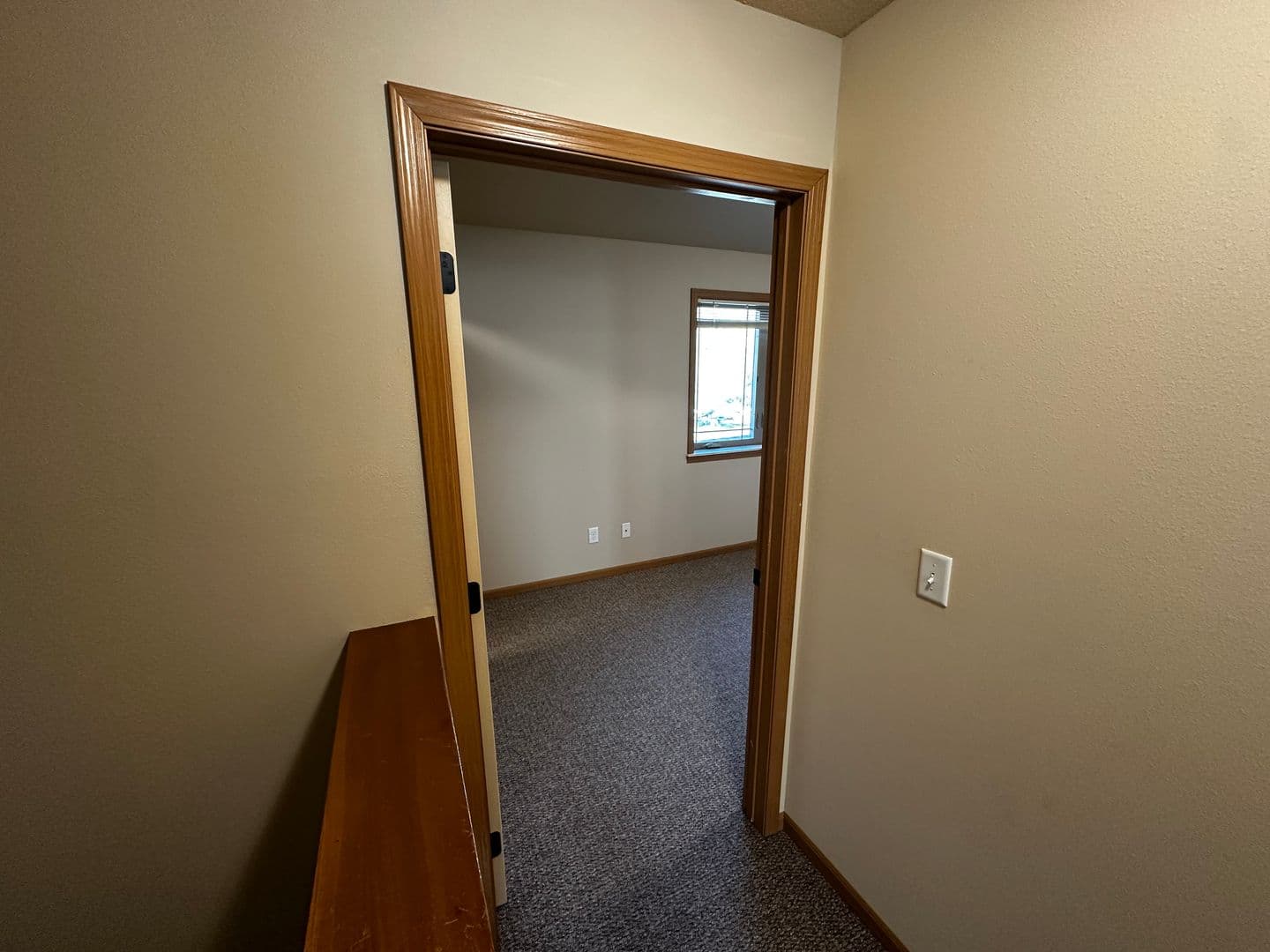 Buffalo Apartment: The Willows