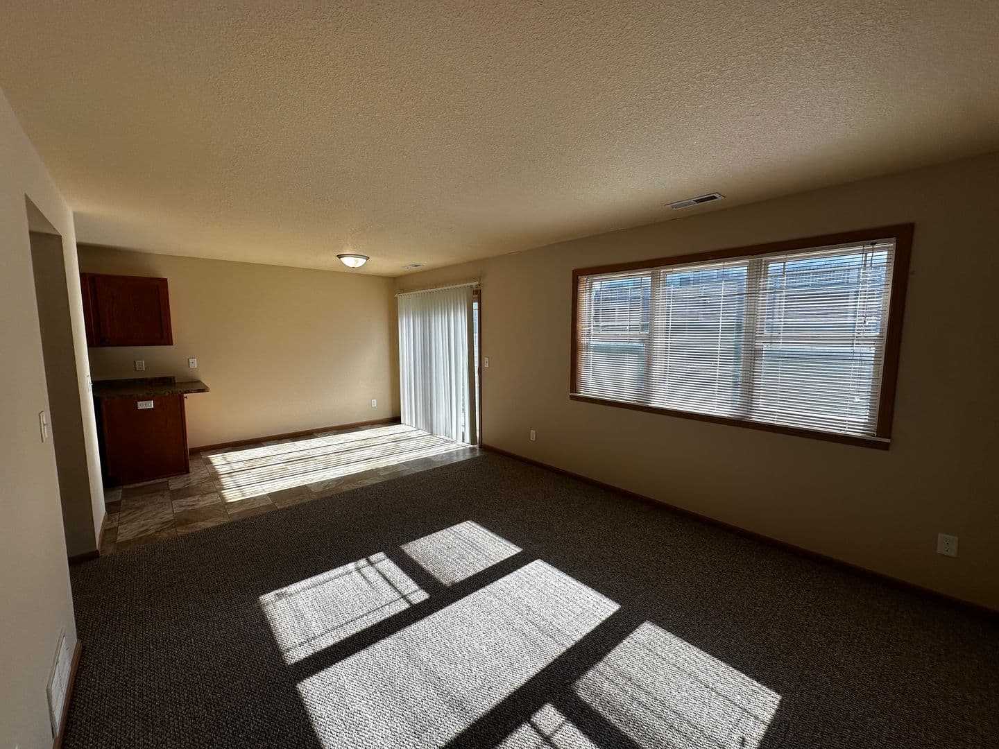 Buffalo Apartment: The Willows