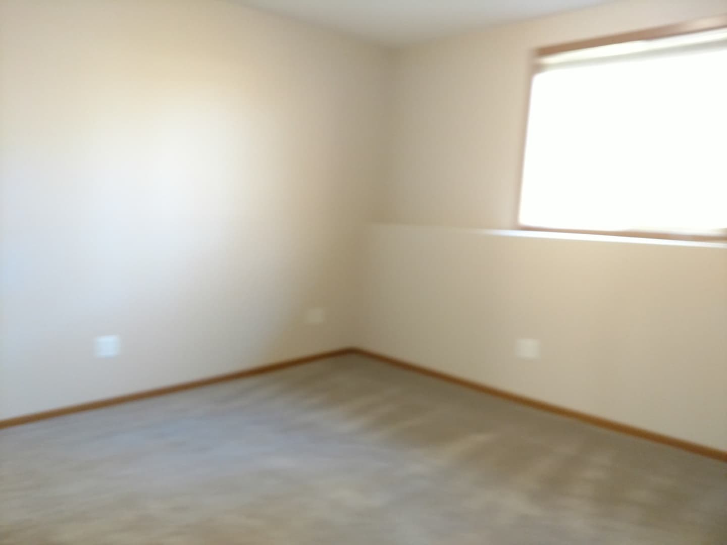 Buffalo Apartment: 814 6th Ave. NE