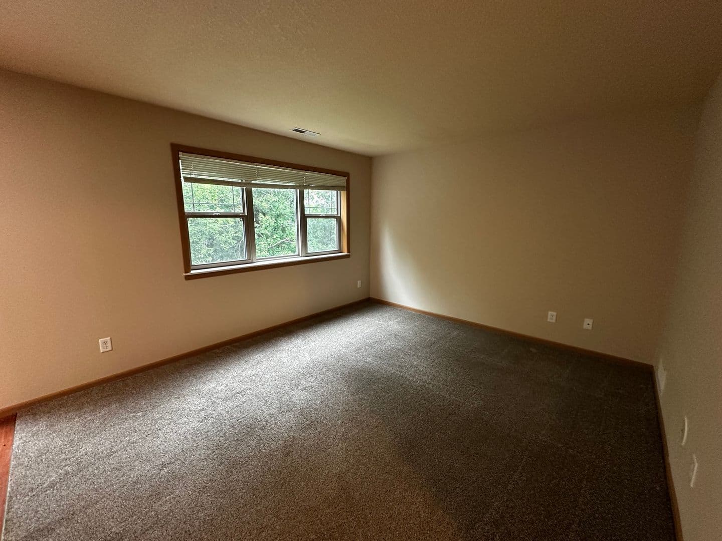 Buffalo Apartment: The Willows