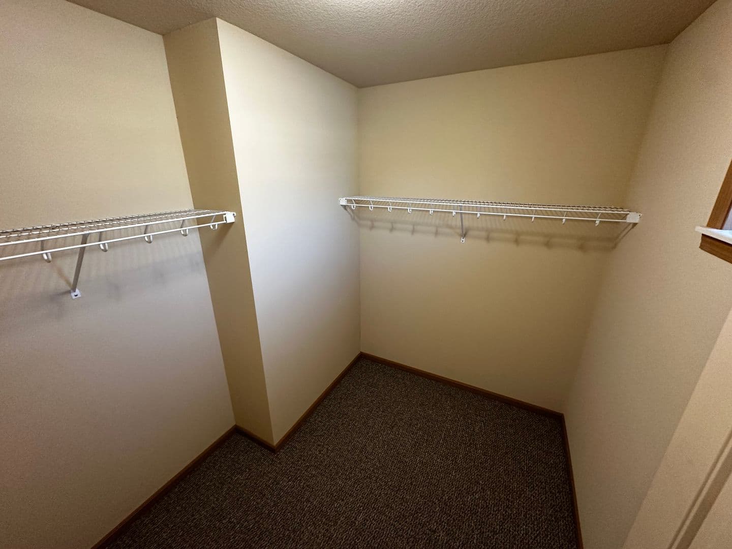 Buffalo Apartment: The Willows