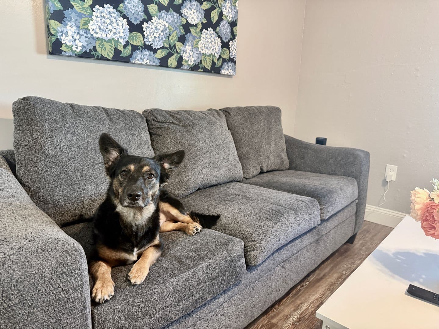 Tallahassee Apartment: 110 Broward Street