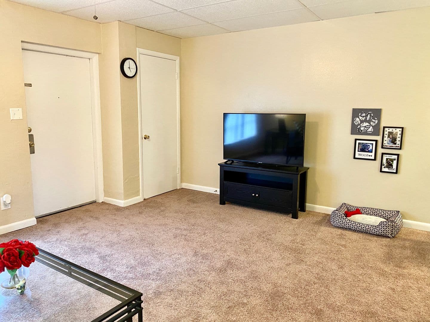 Tallahassee Apartment: 502 W Jefferson Street
