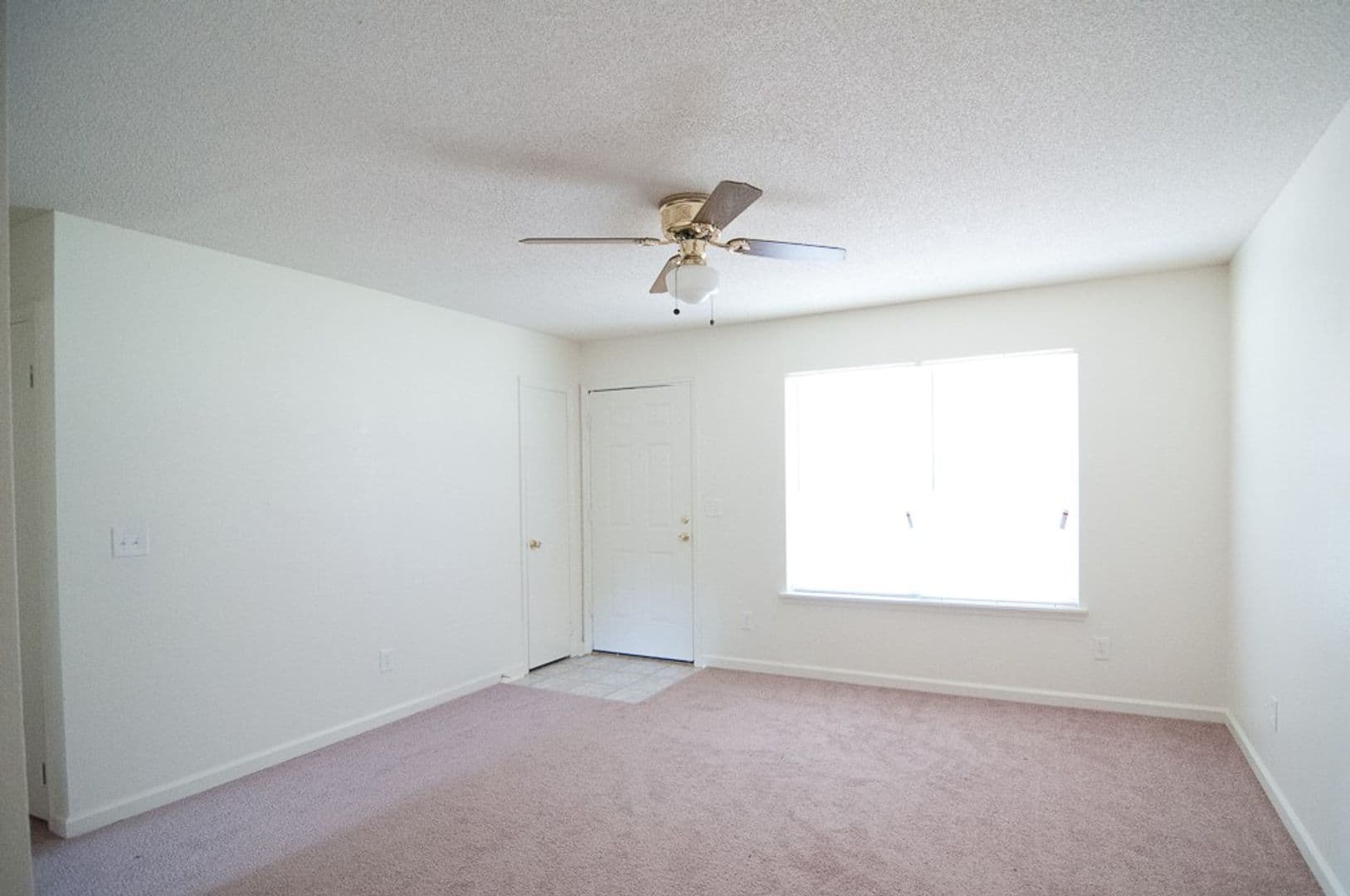 Tallahassee Apartment: 502 W Jefferson Street