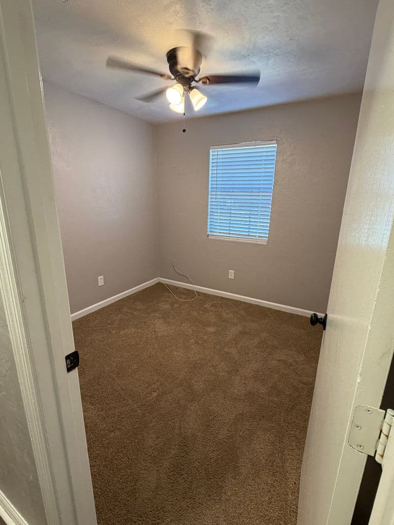 Tallahassee Apartment: 502 W Jefferson Street