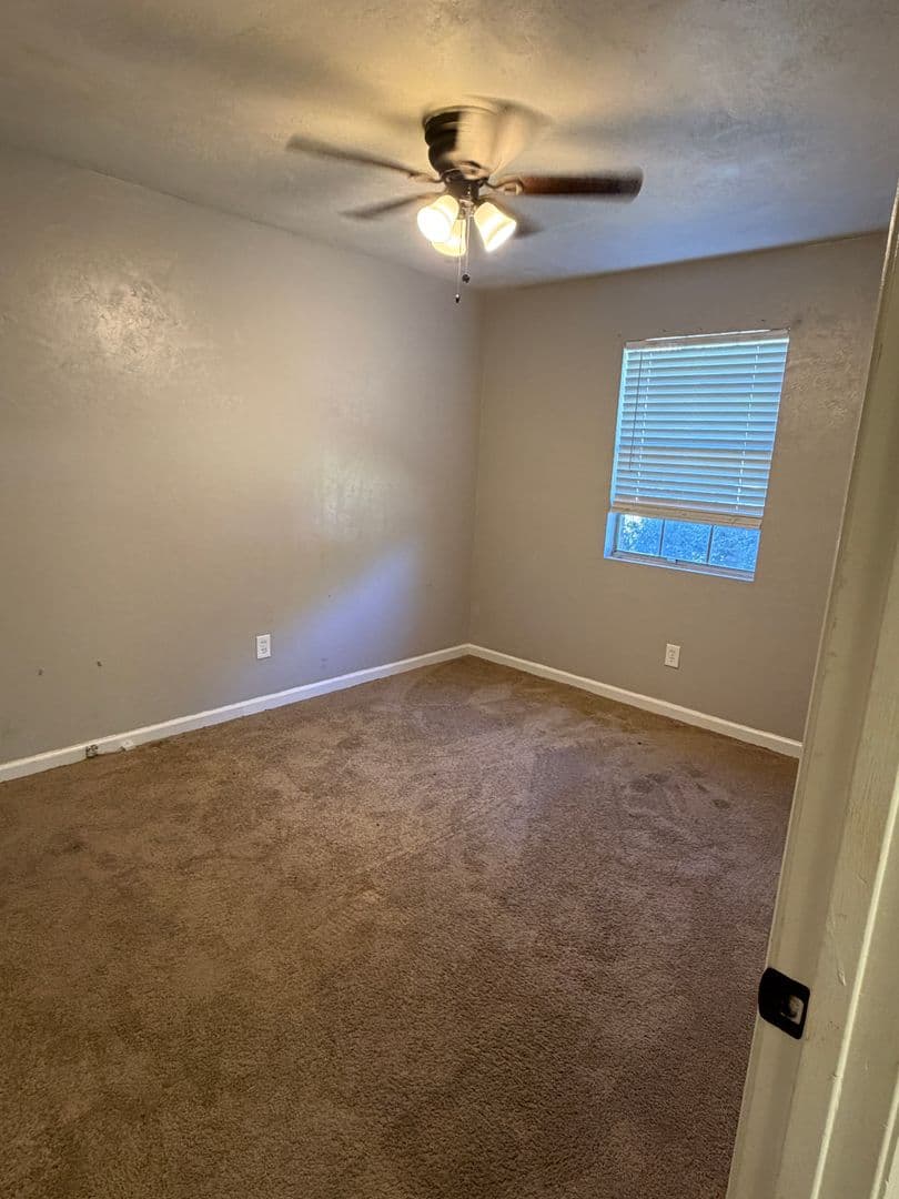 Tallahassee Apartment: 502 W Jefferson Street