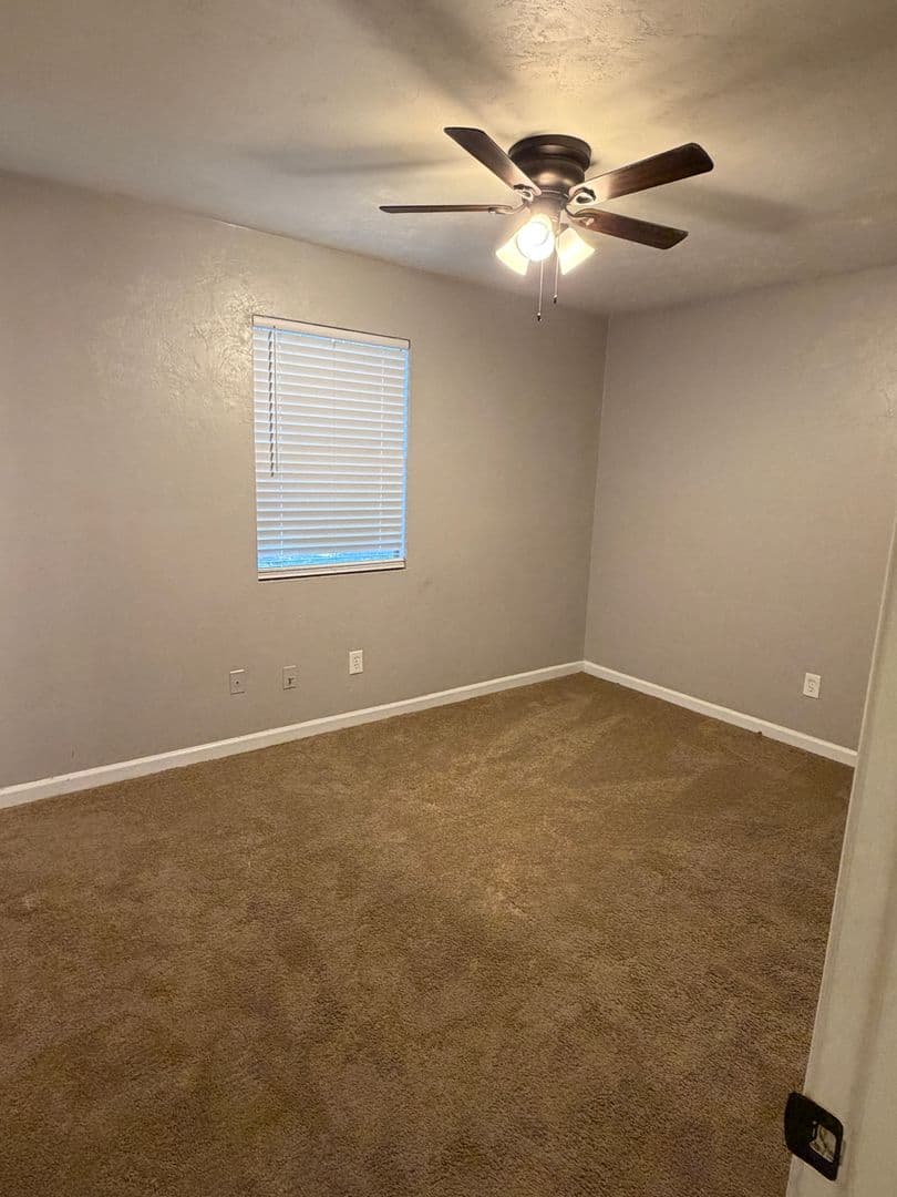Tallahassee Apartment: 502 W Jefferson Street