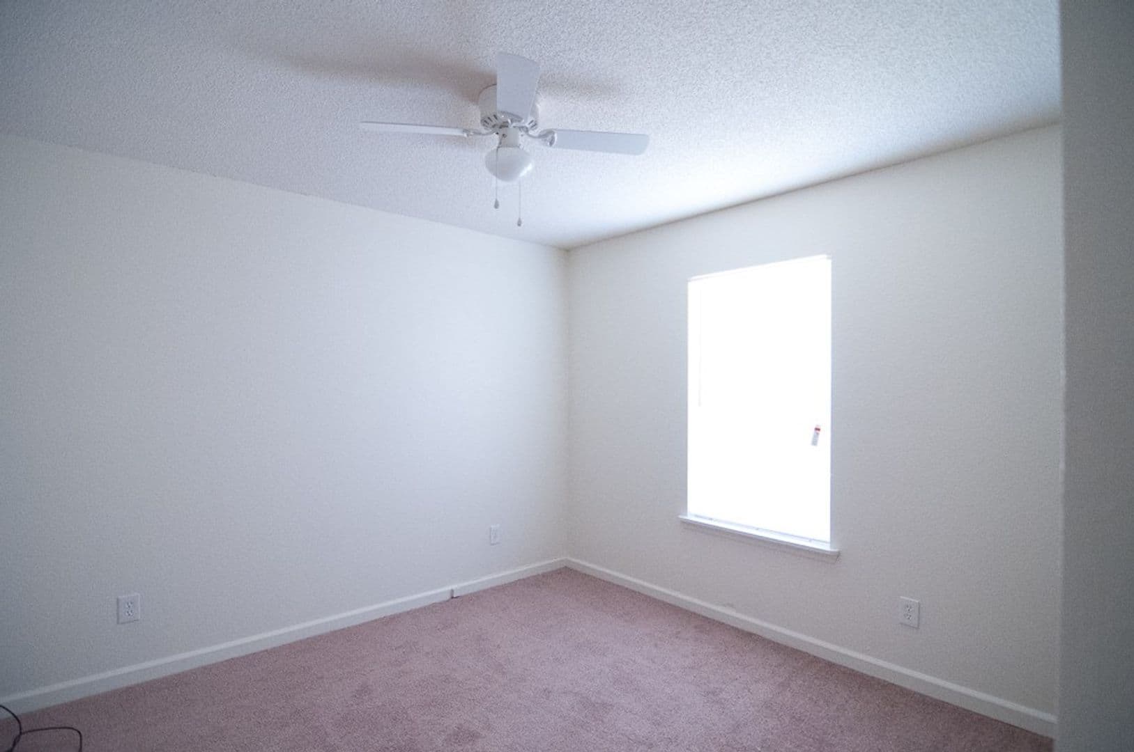Tallahassee Apartment: 502 W Jefferson Street