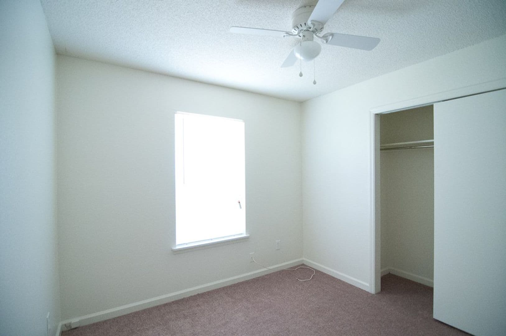 Tallahassee Apartment: 502 W Jefferson Street