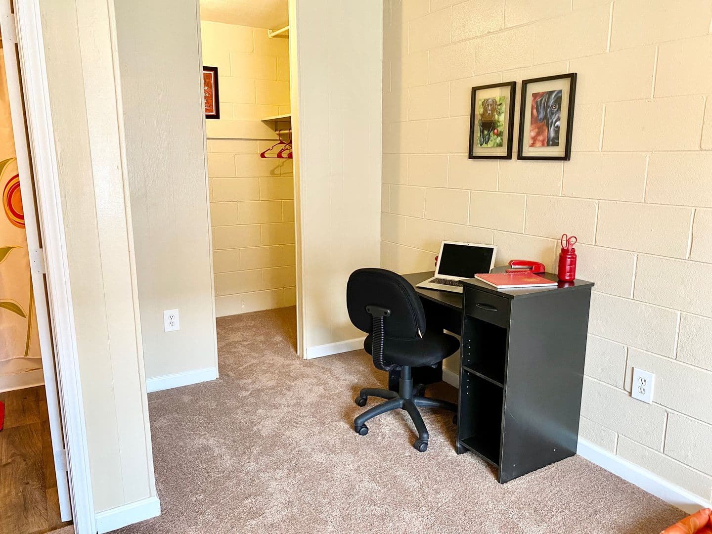 Tallahassee Apartment: 502 W Jefferson Street