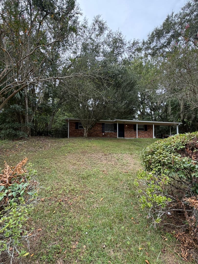 Tallahassee Apartment: 502 W Jefferson Street
