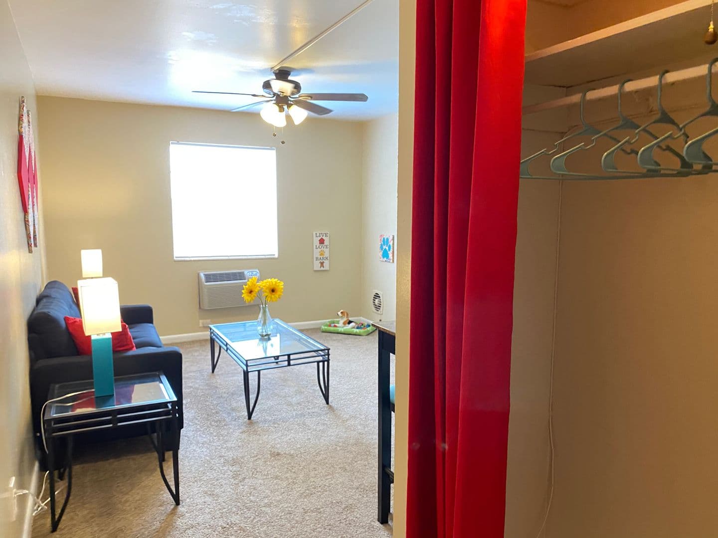 Tallahassee Apartment: 502 W Jefferson Street