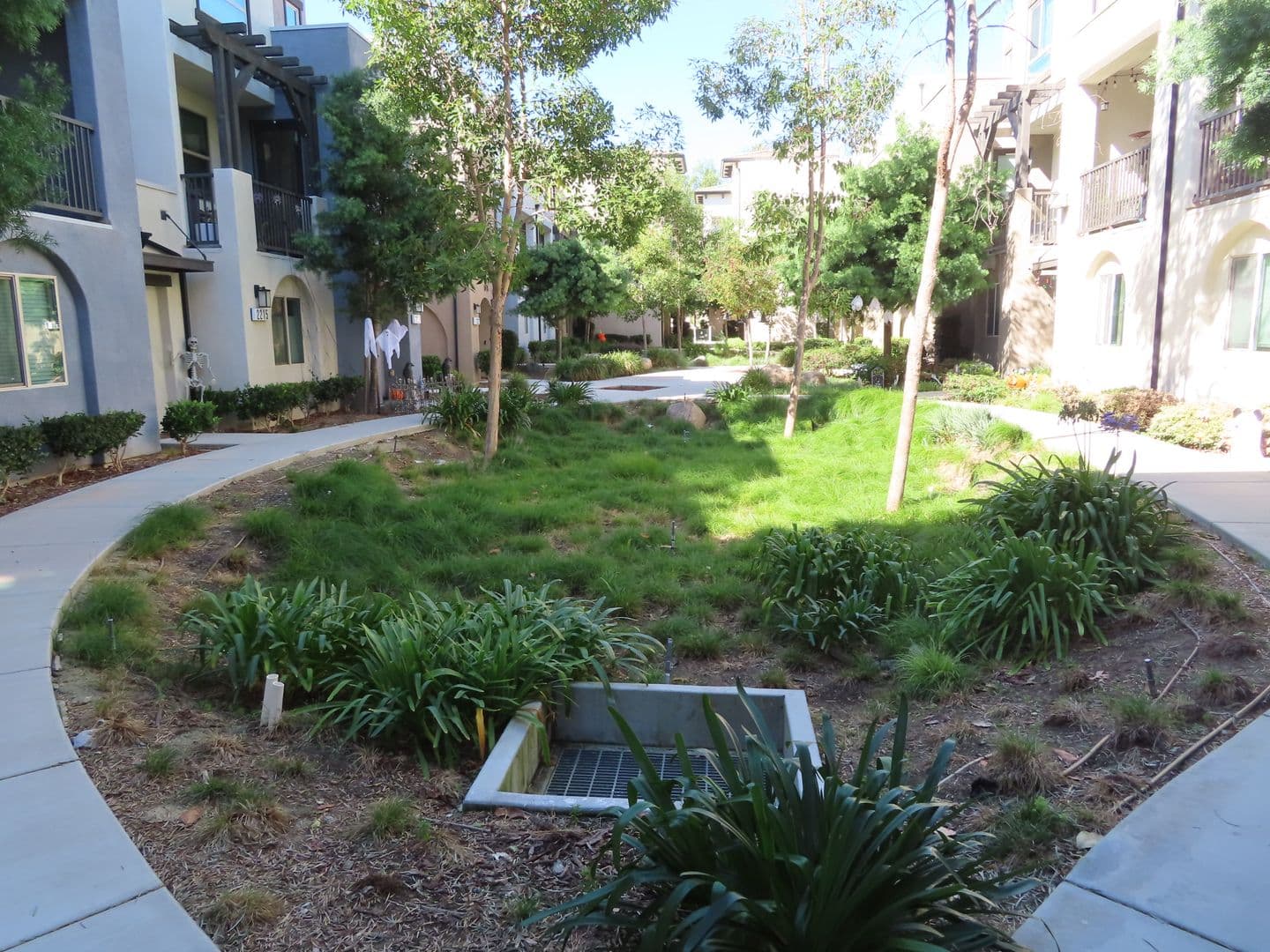 Vista Townhome: 2117 Solara Lane