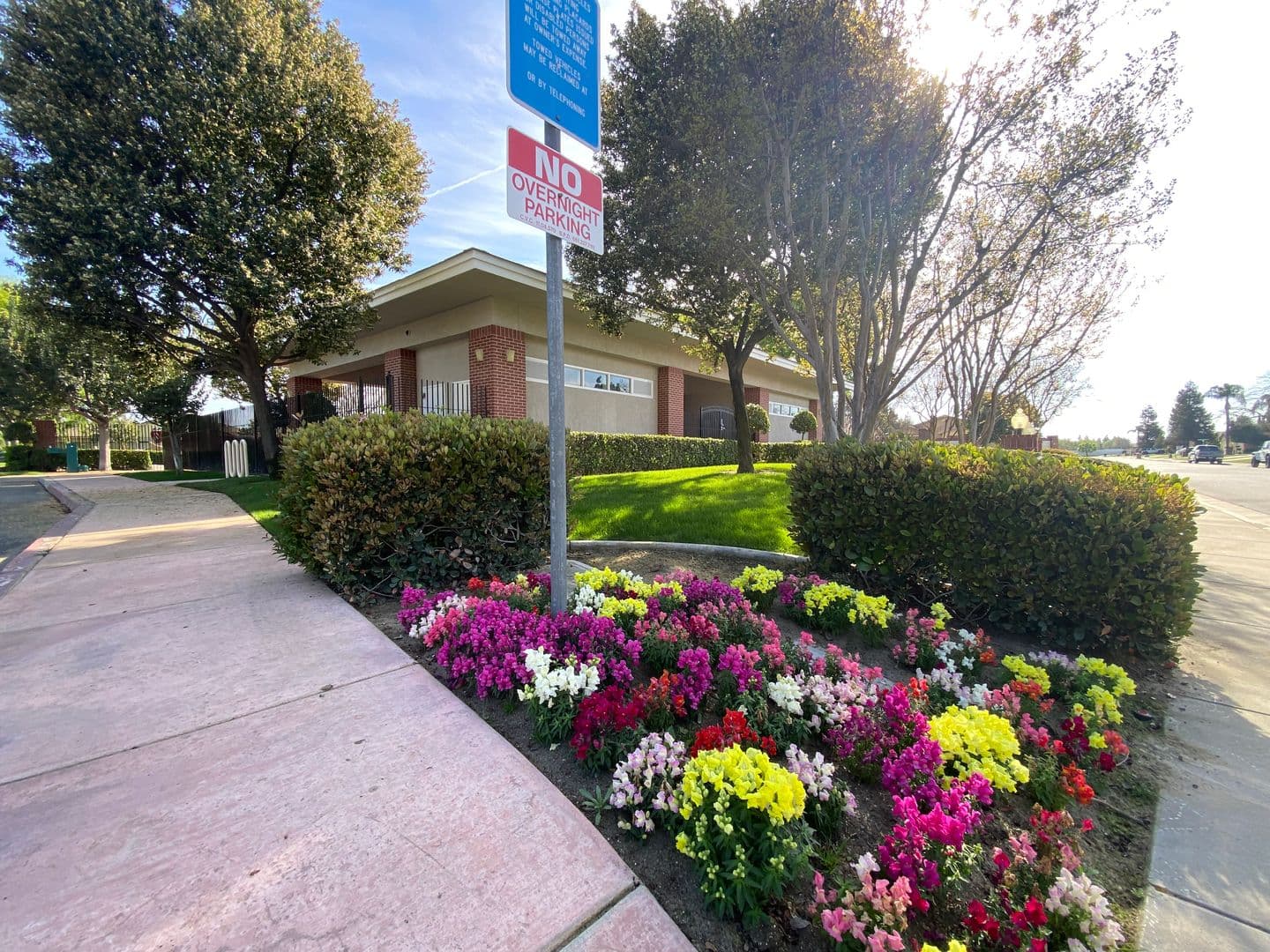 Bakersfield House: 11826 Grecian Laurel Dr