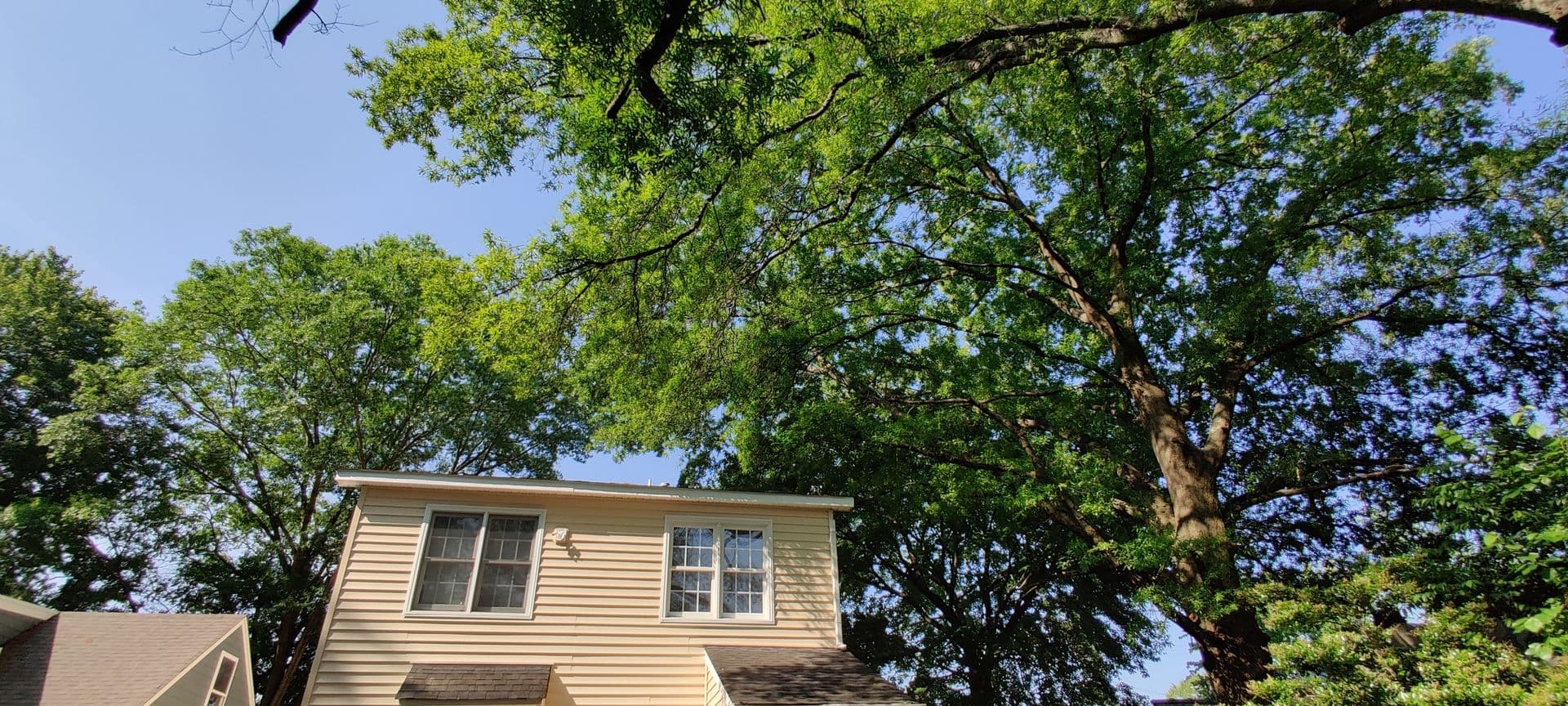 Richmond House: 1720 Jacquelin St
