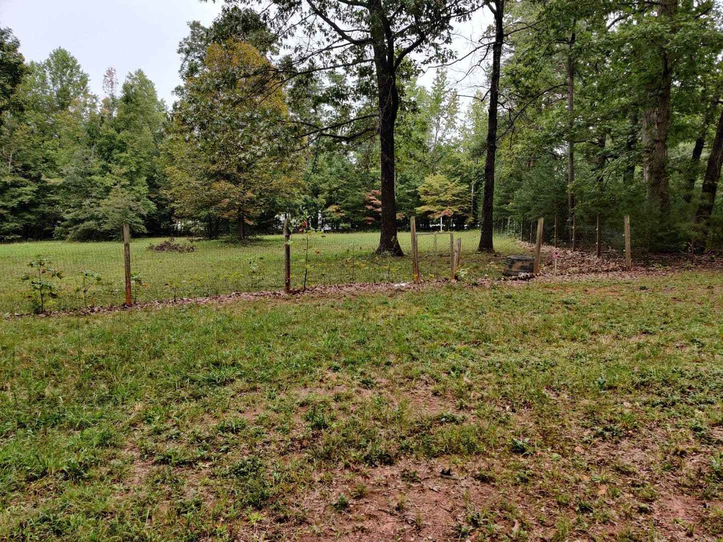 Louisa House: 4694 Walton Rd