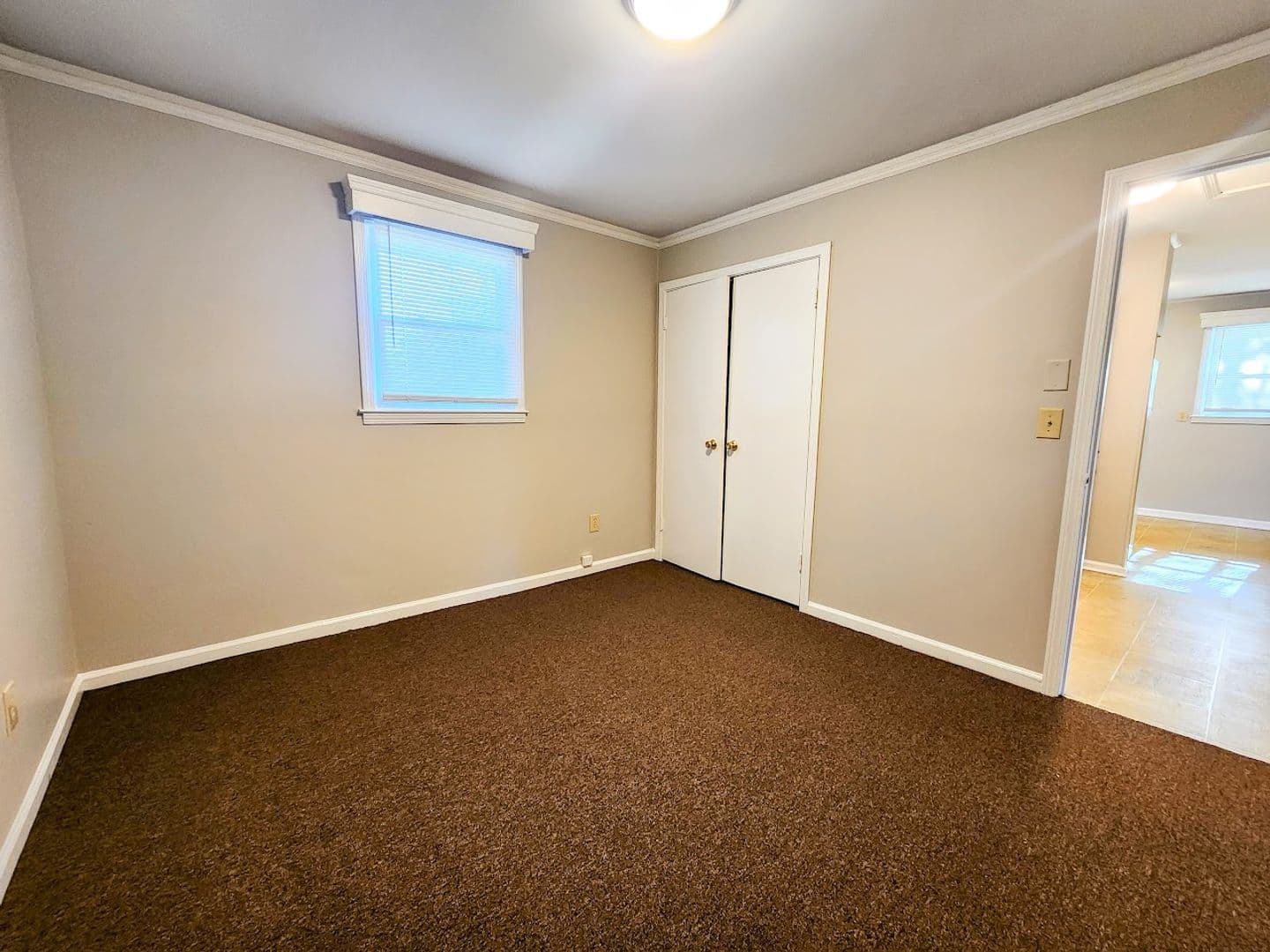 Pelzer Apartment: 6 Hoyt Street